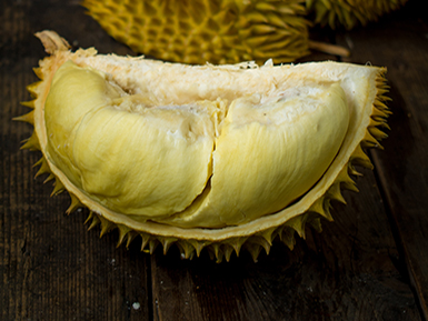 开云电竞登录入口基地展示二