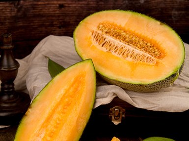 开云电竞登录入口基地展示三