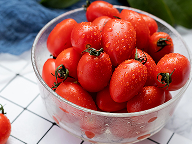 开云电竞登录入口基地展示六